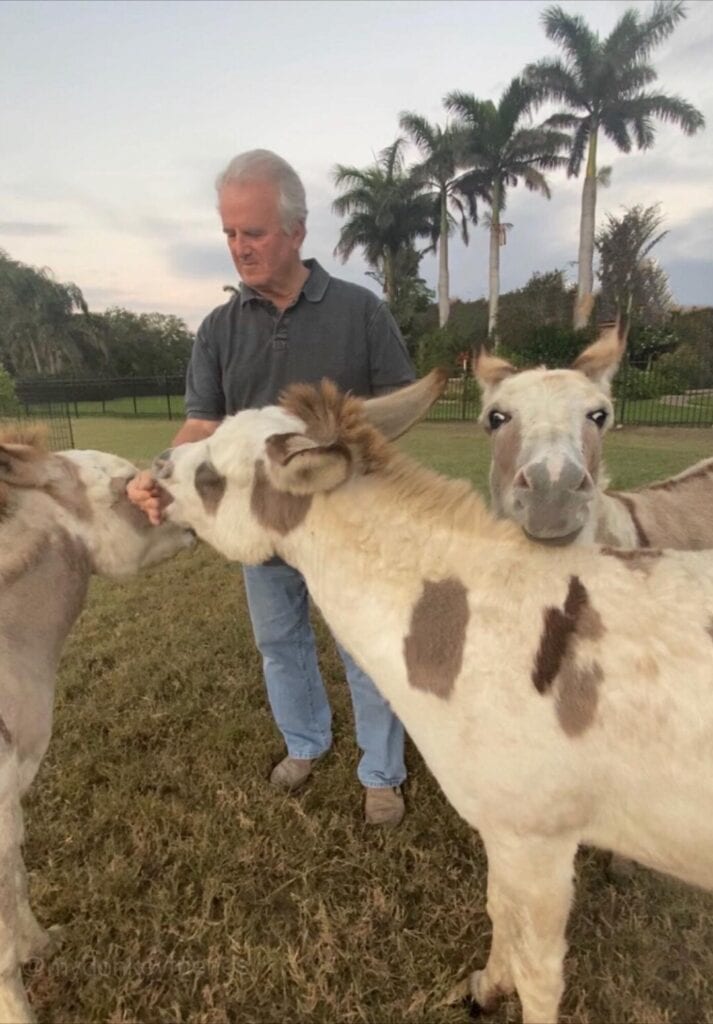 Donkey Friends